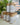 Dry Shampoo with Shaker Organic